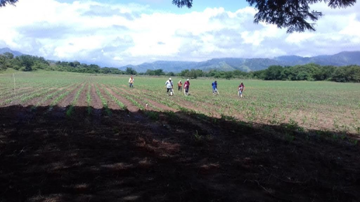 terreno en venta en chiapas