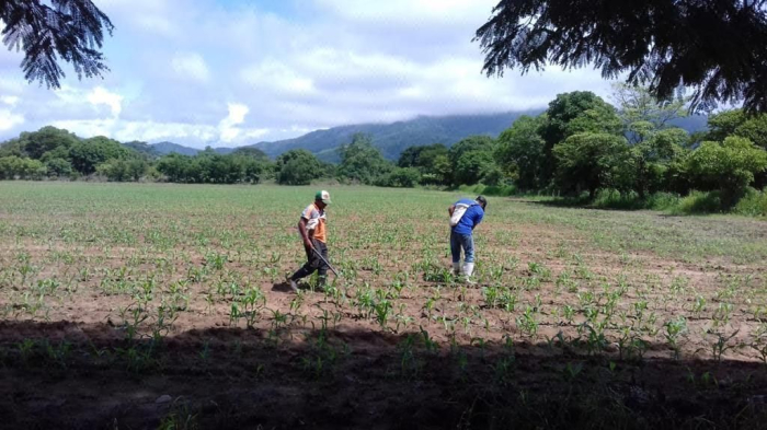 terreno en venta en chiapas