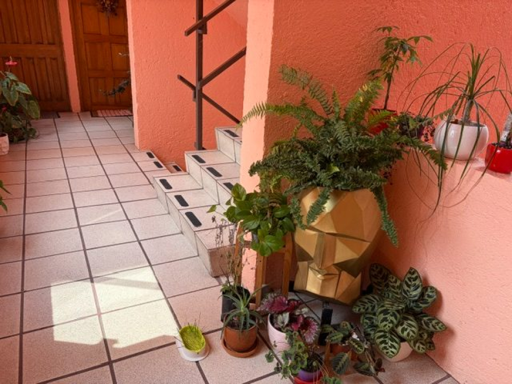 Departamento En Venta En El Mirador