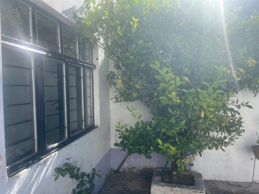 Departamento En Renta En Fraccionamiento Italia Providencia