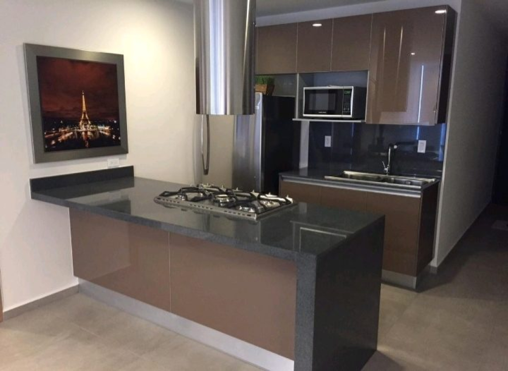 departamento amueblado en renta | plaza carso ii