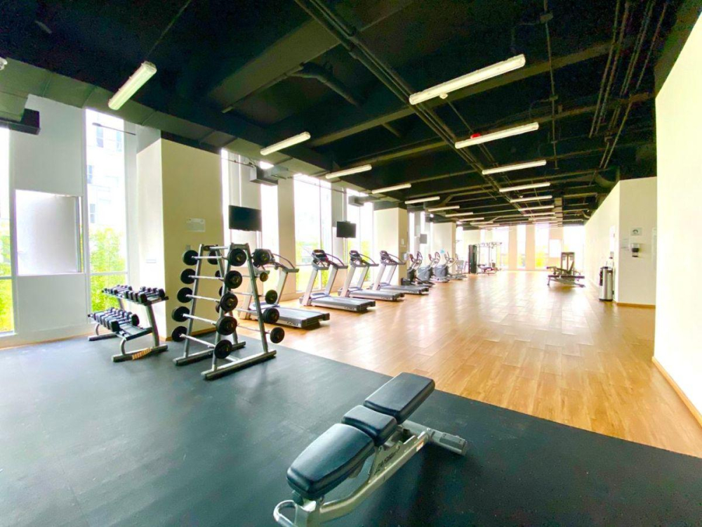 departamento amueblado en renta | plaza carso ii