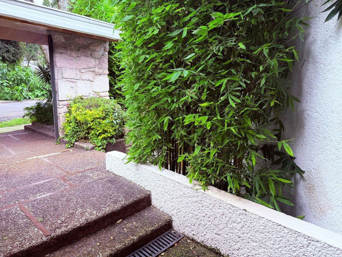 casa en renta en bosques de las lomas