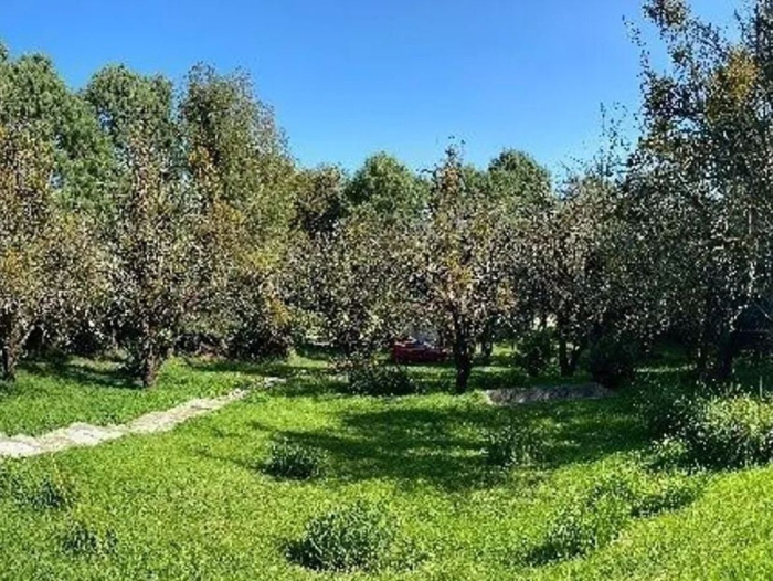 Terreno En Venta En Cuajimalpa Contadero