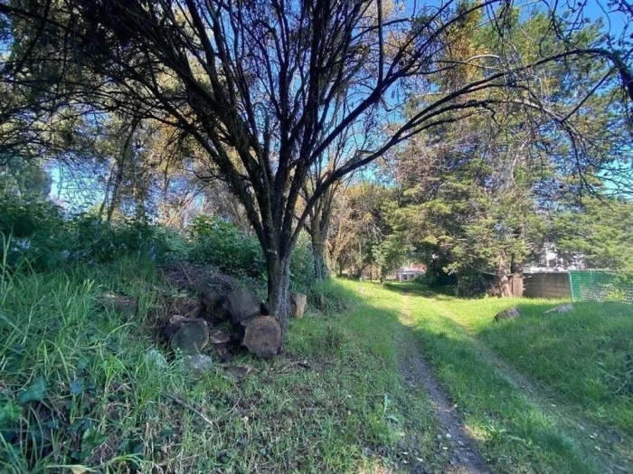 Terreno En Venta En Cuajimalpa Contadero