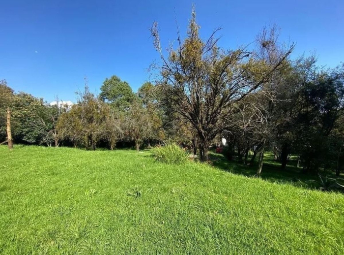 Terreno En Venta En Cuajimalpa Contadero
