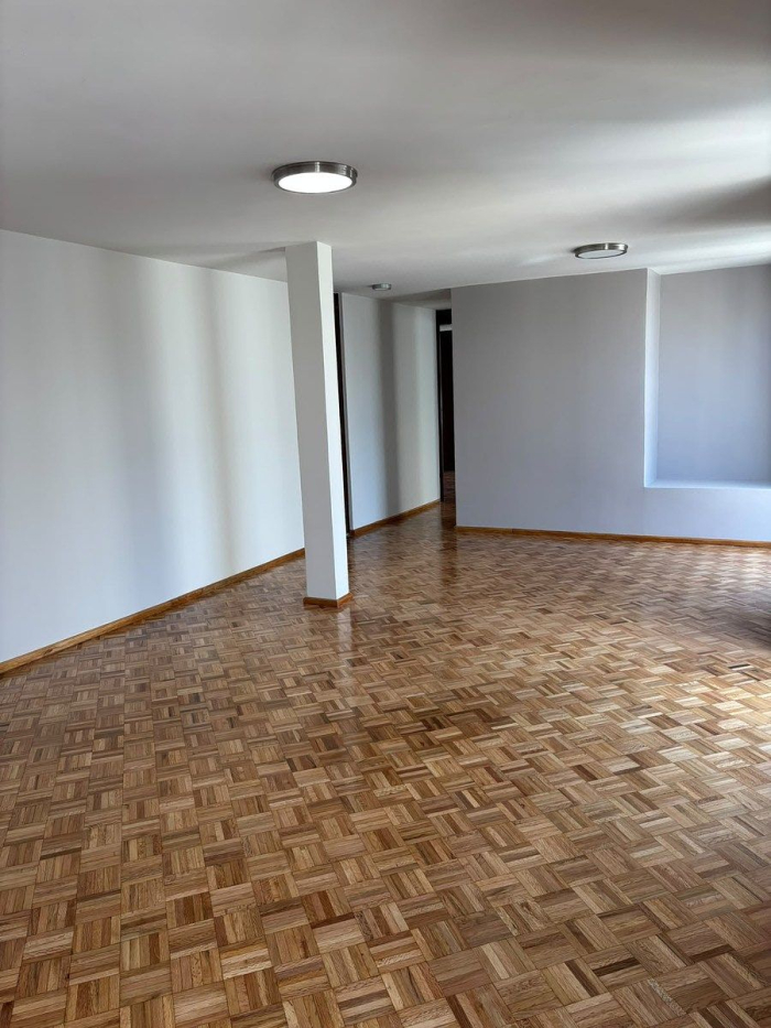departamento en venta en colonia nápoles