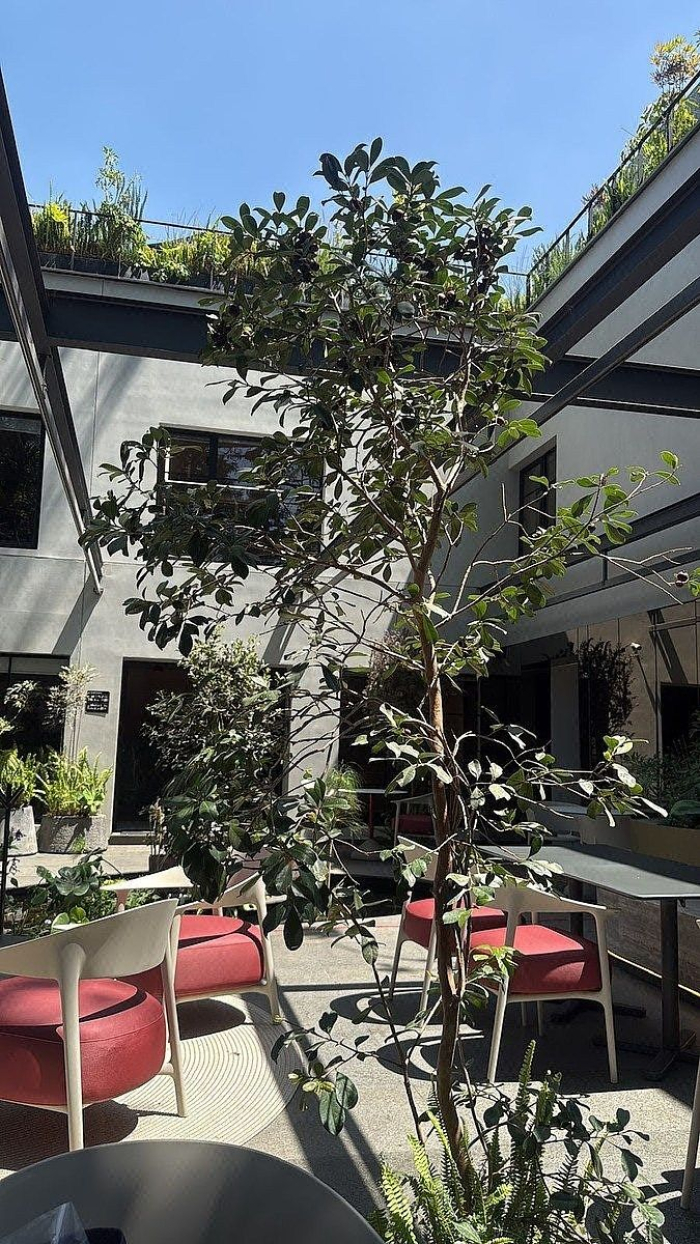 oficinas premium en renta en av paseo de las palmas