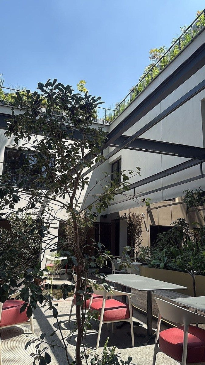 oficinas premium en renta en av paseo de las palmas