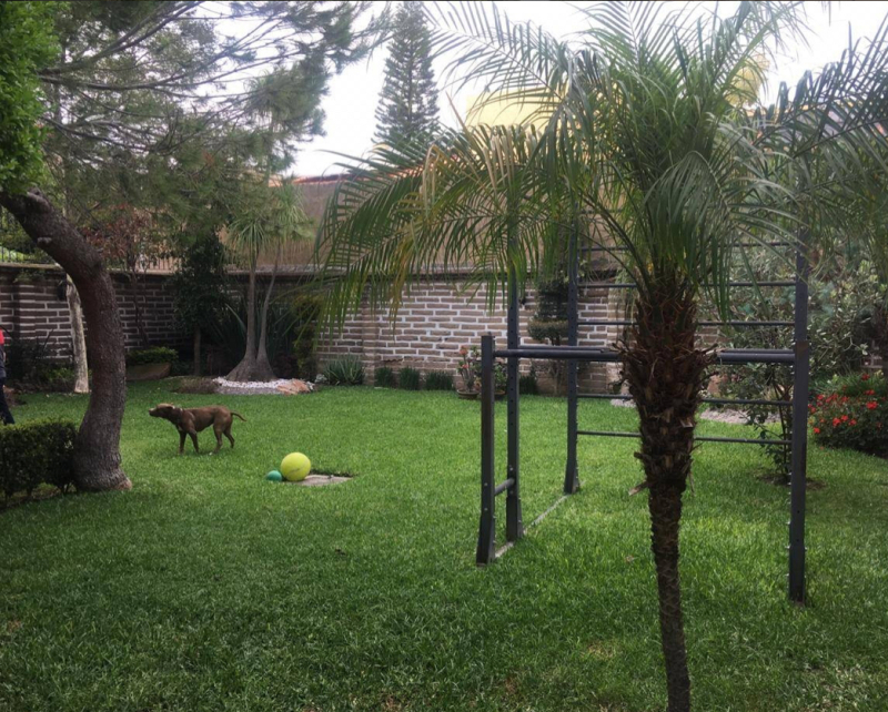 Casa En Renta En Bugambilias 1ra,. Sección 