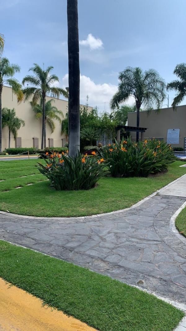 Casa En Venta En Altamira (aviación)