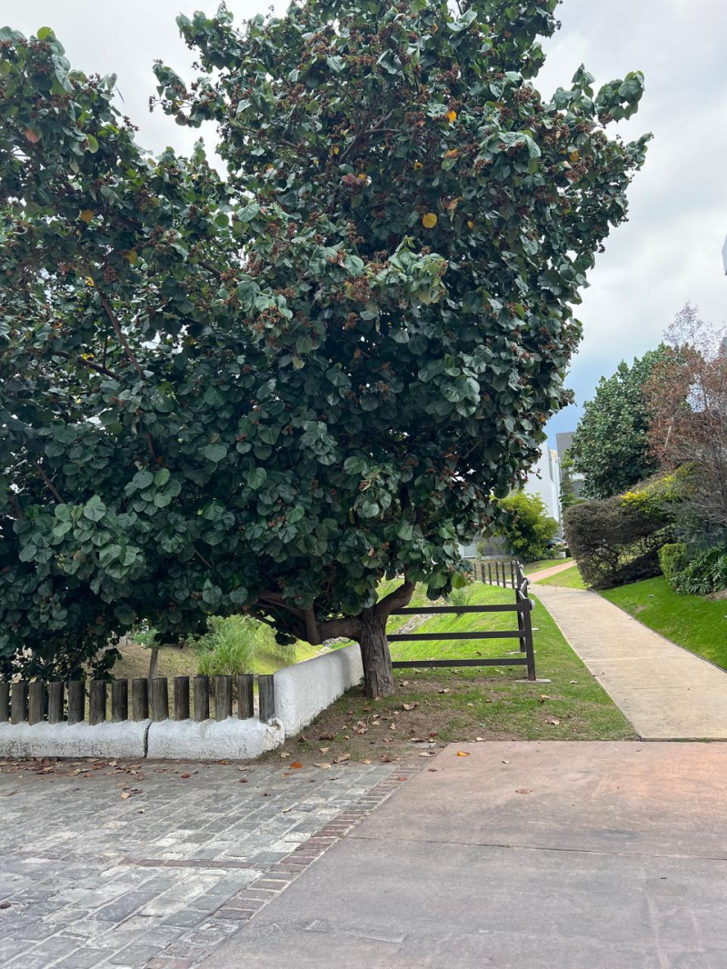 Casa En Renta En Condominio Los Castaños En Zapopan