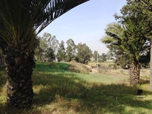 Terreno En VENTA En El Estado De Mexico, En Tlalmanalco