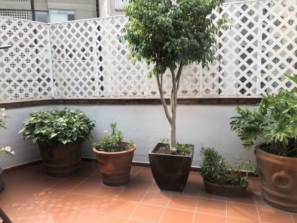En Venta departamento para remodelar en Lomas Virreyes