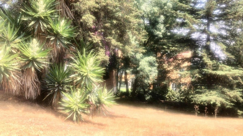 Terreno En Venta Lomas Vista Hermosa Privada Vigilancia