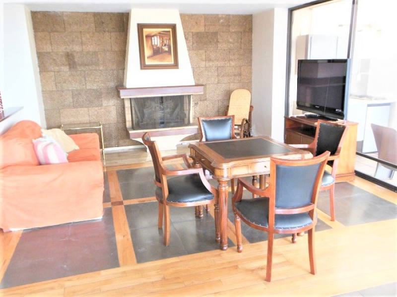 Departamento Renta Amueblado Platón Polanco 