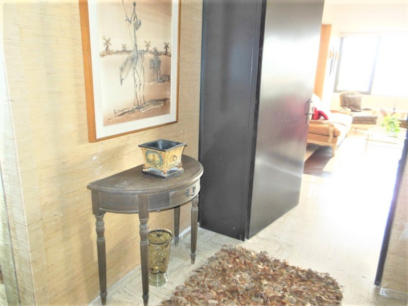 Departamento Renta Amueblado Platón Polanco 