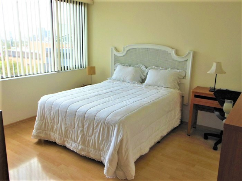 Departamento Renta Amueblado Platón Polanco 