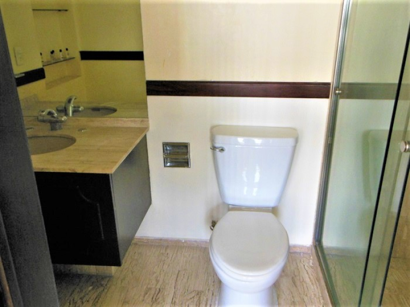 Departamento Renta Amueblado Platón Polanco 