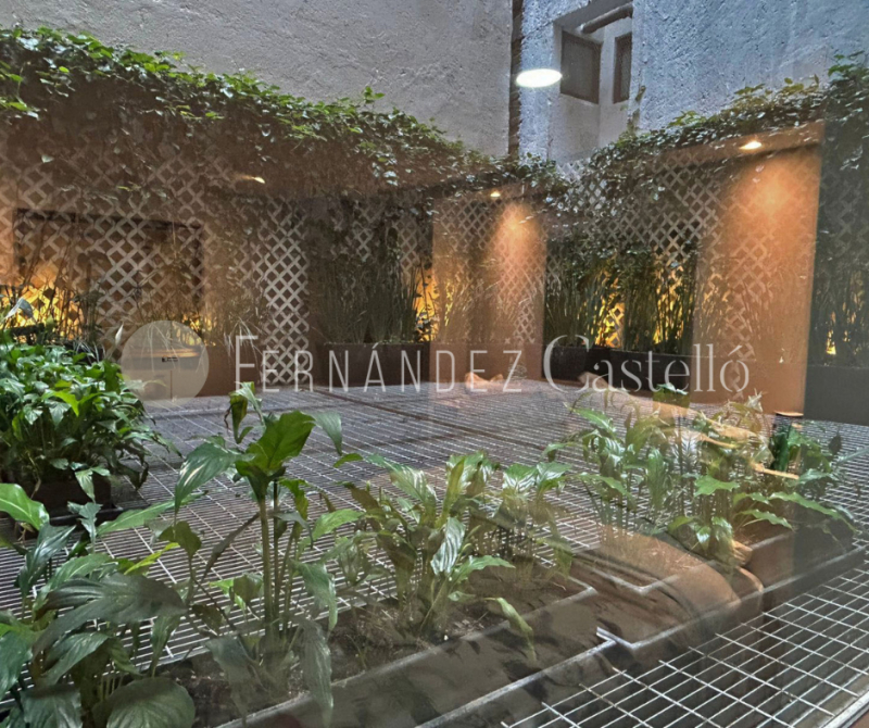 RENTA DEPARTAMENTO LOMAS VIRREYES