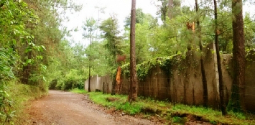  Terreno En Venta Camino A San Agustin Valle 